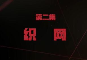 重庆晚安爆料新闻视频播放,揭秘新闻视频背后的精彩瞬间  第2张